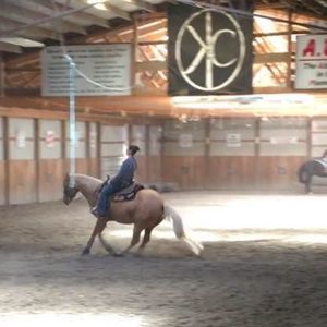 Meet your Posher, Amber